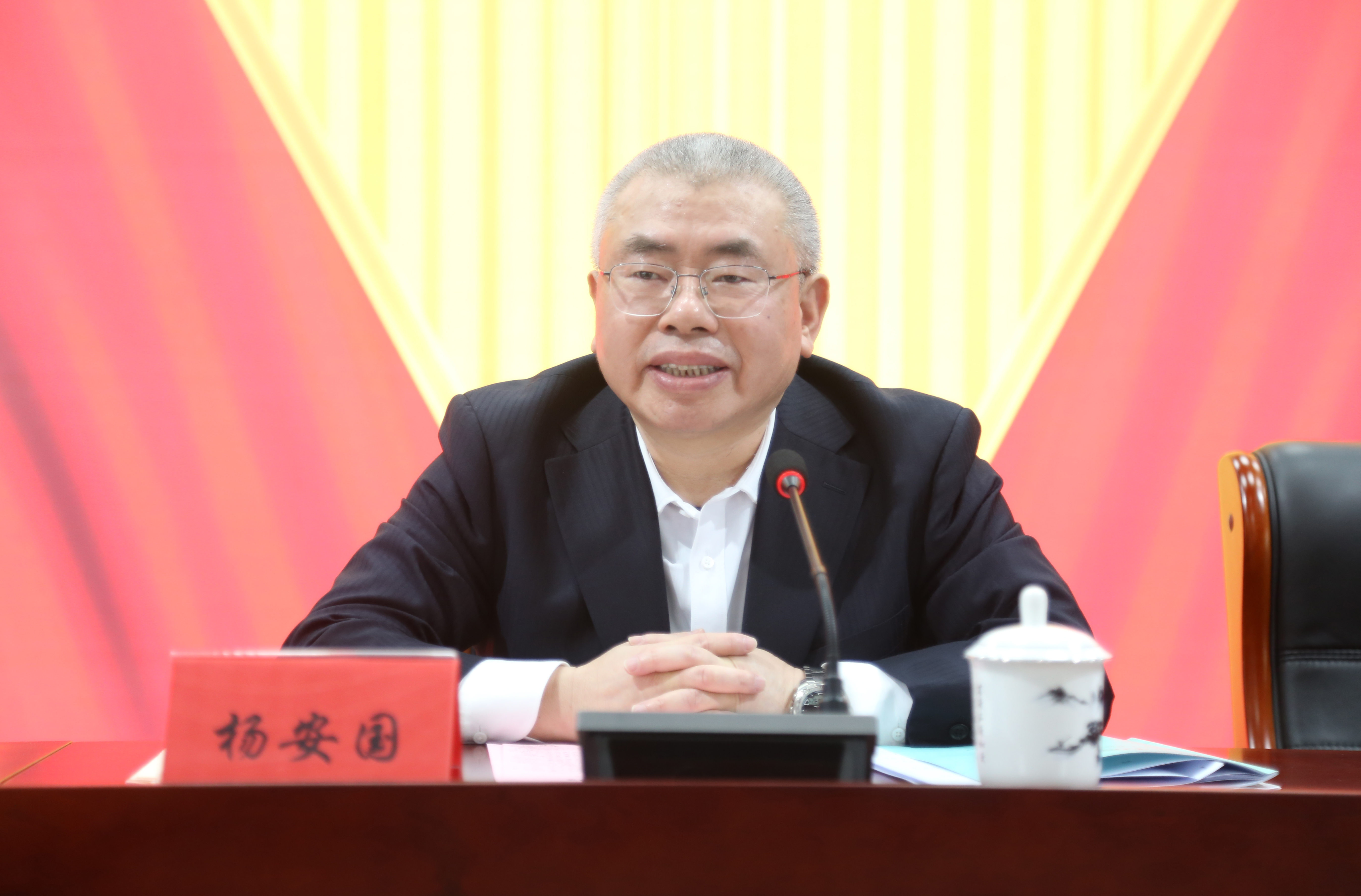 集团企业党委书记、董事长、总经理杨安国出席会议并讲话.JPG